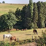Eifel-ferienhaus Landblick