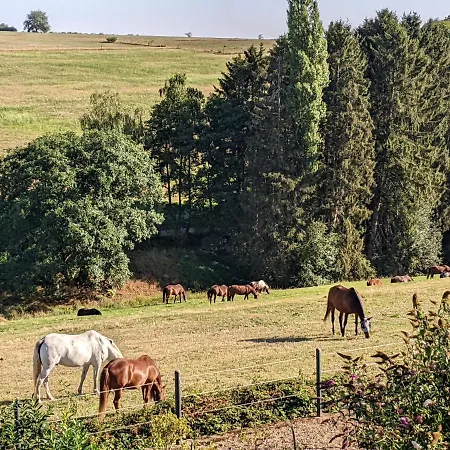 Eifel-ferienhaus Landblick
