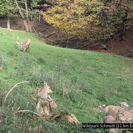 Eifel-ferienhaus Landblick * Hurtgenwald