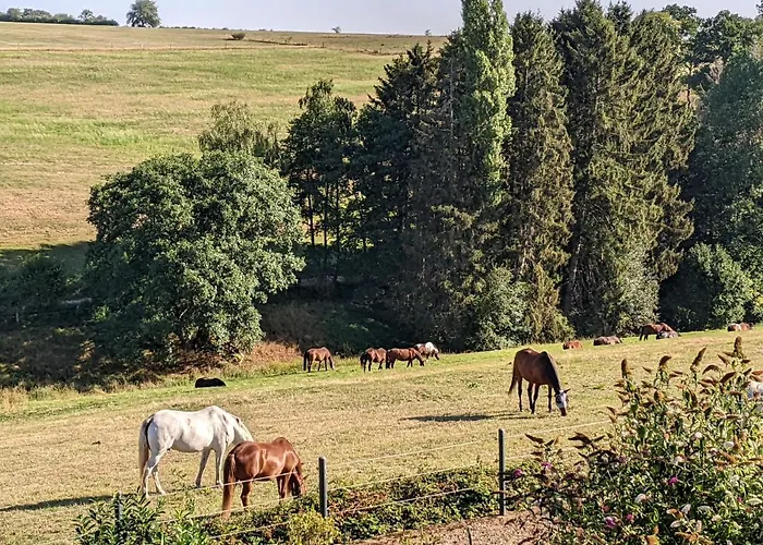 Eifel-ferienhaus Landblick