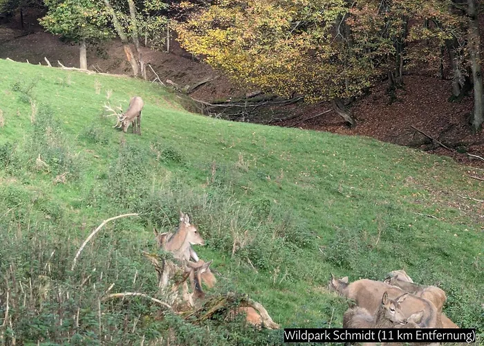 Eifel-ferienhaus Landblick * Hürtgenwald